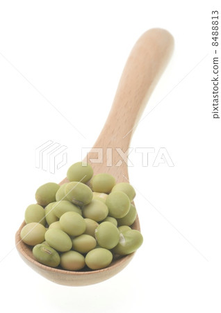 綠豆 8488813