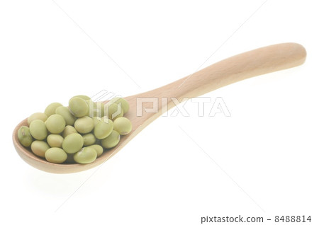 綠豆 8488814
