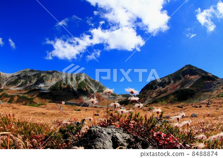 Tateyama Murodo和Tateyama山脈 8488874