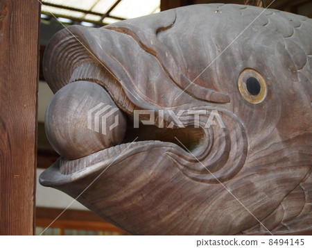 開放山 開放山 8494145