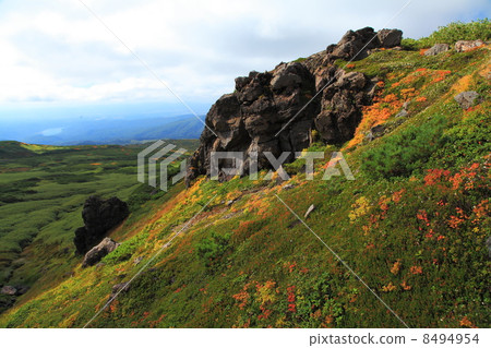 Autumn's Mt. 8494954