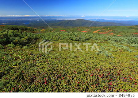 Autumn's Mt. 8494955