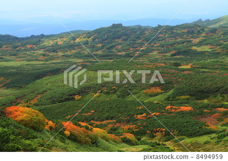 Autumn's Mt. 8494959