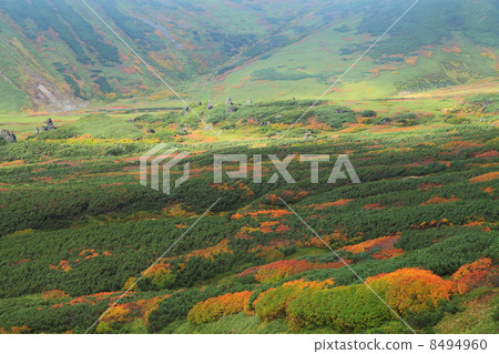 Autumn's Mt. 8494960