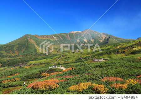 Autumn's Daisetsu Aizuru-dake 8494984