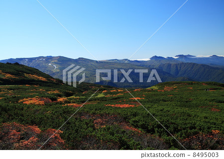 Foothills of Mt. 8495003