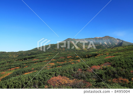 Foothills of Mt. 8495004