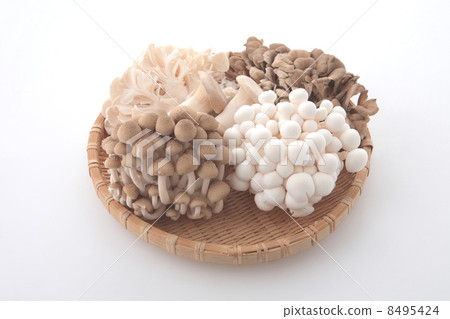 5種蘑菇 5種蘑菇 8495424
