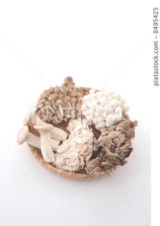 5種蘑菇 5種蘑菇 8495425