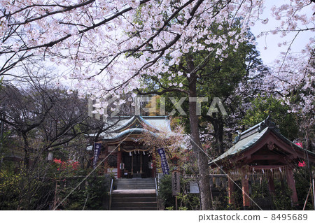 東京/ Shiba Toshogu神社 8495689