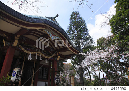 東京/ Shiba Toshogu神社 8495690
