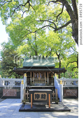 東京芝公園,熊野神社 東京芝公園,熊野神社 8495719