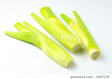 Makomotake plenty of dietary fiber 8497370