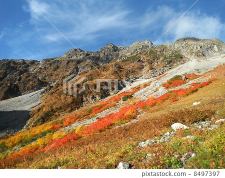 憤怒的隕落 憤怒的隕落 8497397
