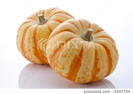 Pumpkin Pumpkin 8497794