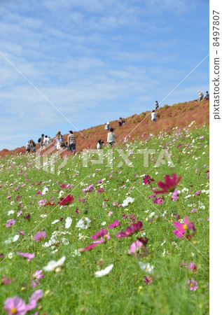 Mihara's Hill 8497807