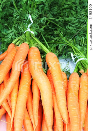 Large carrots Large carrots 8498100