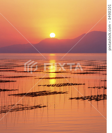 有明海螃蟹Hibi晚上風景 8498101