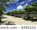 Peace Prayer Park · The foundation of peace 8498102