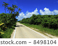 Road of Taketomijima 8498104