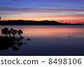Evening scenery of Iriomote Island 8498106