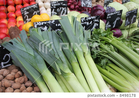 leek leek 8498178