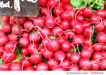 Radish Radish 8498426