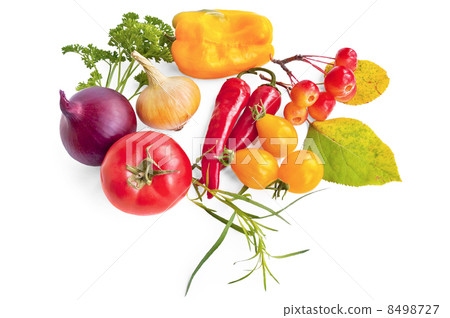 Vegetables with apples Vegetables with apples 8498727
