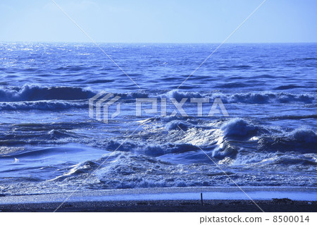 Estuary Estuary 8500014