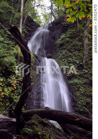 Oirase溪流·Yunii瀑布 8502470