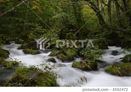 Oirase stream · Tribulation flow 8502472