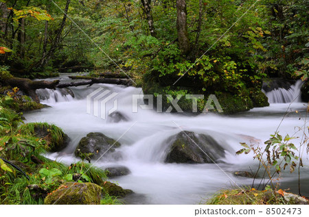 Oirase stream · Tribulation flow Oirase stream · Tribulation flow 8502473