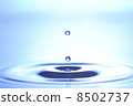 Water droplets 8502737