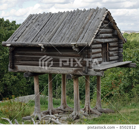 hut on chicken legs 8502812