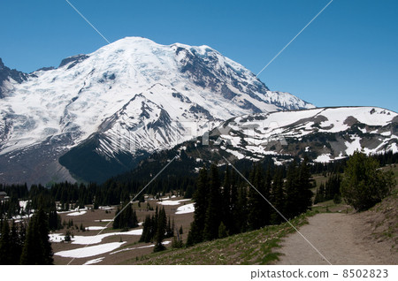 雷尼爾山徒步旅行 8502823