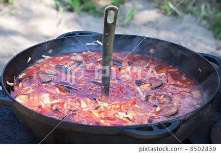Russian borscht soup 8502839