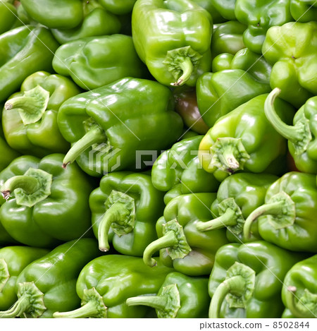 sweet peppers and eggplants 8502844