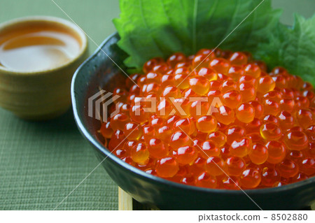 醬油泡菜多少錢 8502880