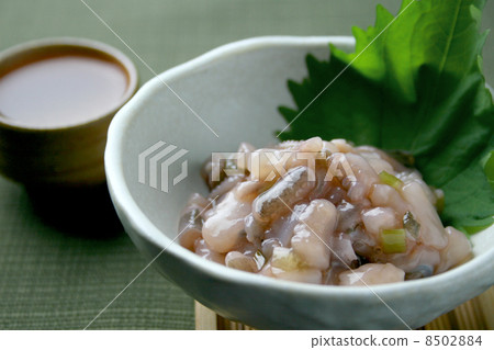 Tako鹹魚 Tako鹹魚 8502884