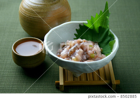 Tako鹹魚 Tako鹹魚 8502885
