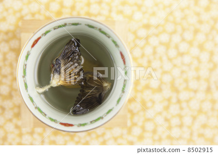 Fugu no fake 8502915