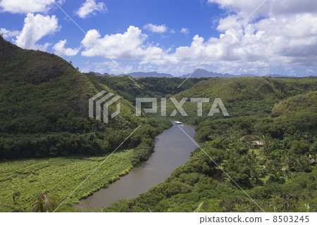 The Wailua River of Kauai 8503245