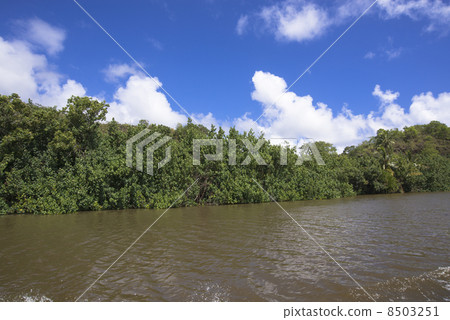 The Wailua River of Kauai The Wailua River of Kauai 8503251