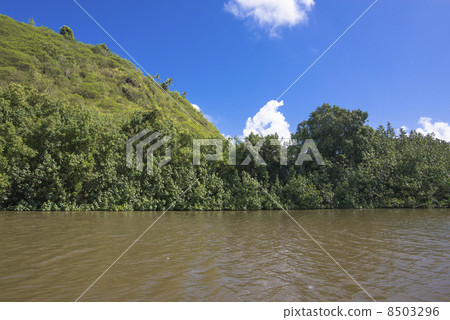 The Wailua River of Kauai 8503296