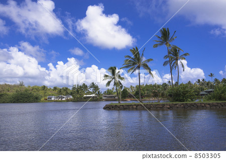 The Wailua River of Kauai 8503305