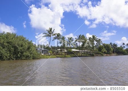 The Wailua River of Kauai The Wailua River of Kauai 8503310