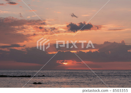 夏威夷島Kohala海岸晚上風景 8503355