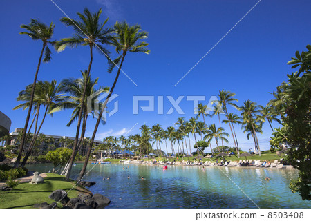 Hilton Waikoloa Resort 8503408