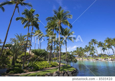 Hilton Waikoloa Resort 8503410