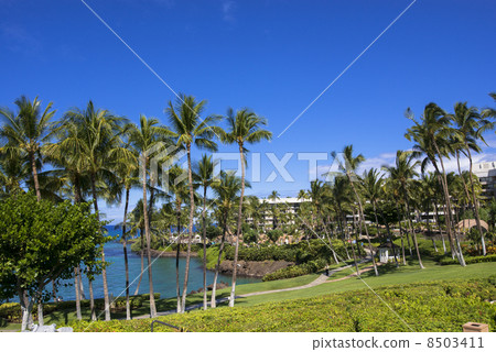Hilton Waikoloa Resort 8503411